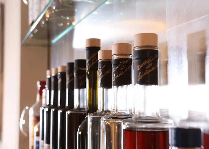 Muenchner Hof Und Blauer Turm Regensburg