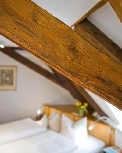 Muenchner Hof Und Blauer Turm 4* Регенсбург